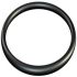 12052501 Sealing Ring