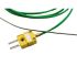 RTD Pt100 Temperature Sensors 1â„2â€ NPT Threads